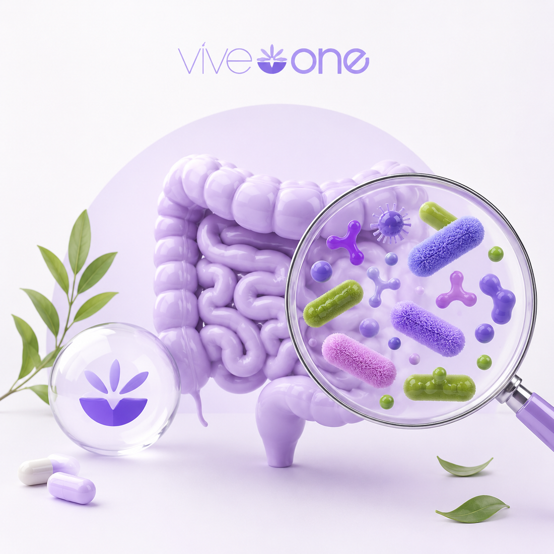🌿 Salud digestiva